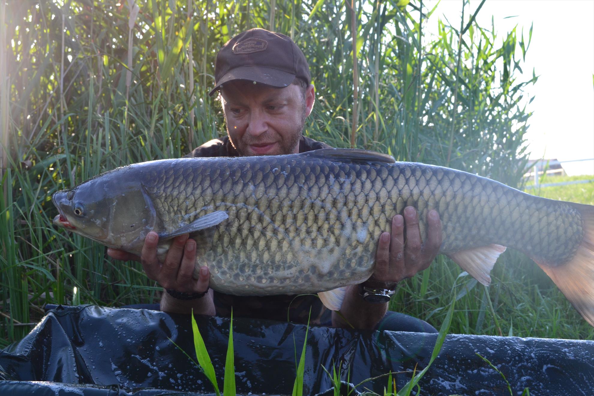 Pescuit Balta Lazar 6-8 iunie 2014 - dsc0017.JPG